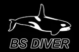 BSDiver